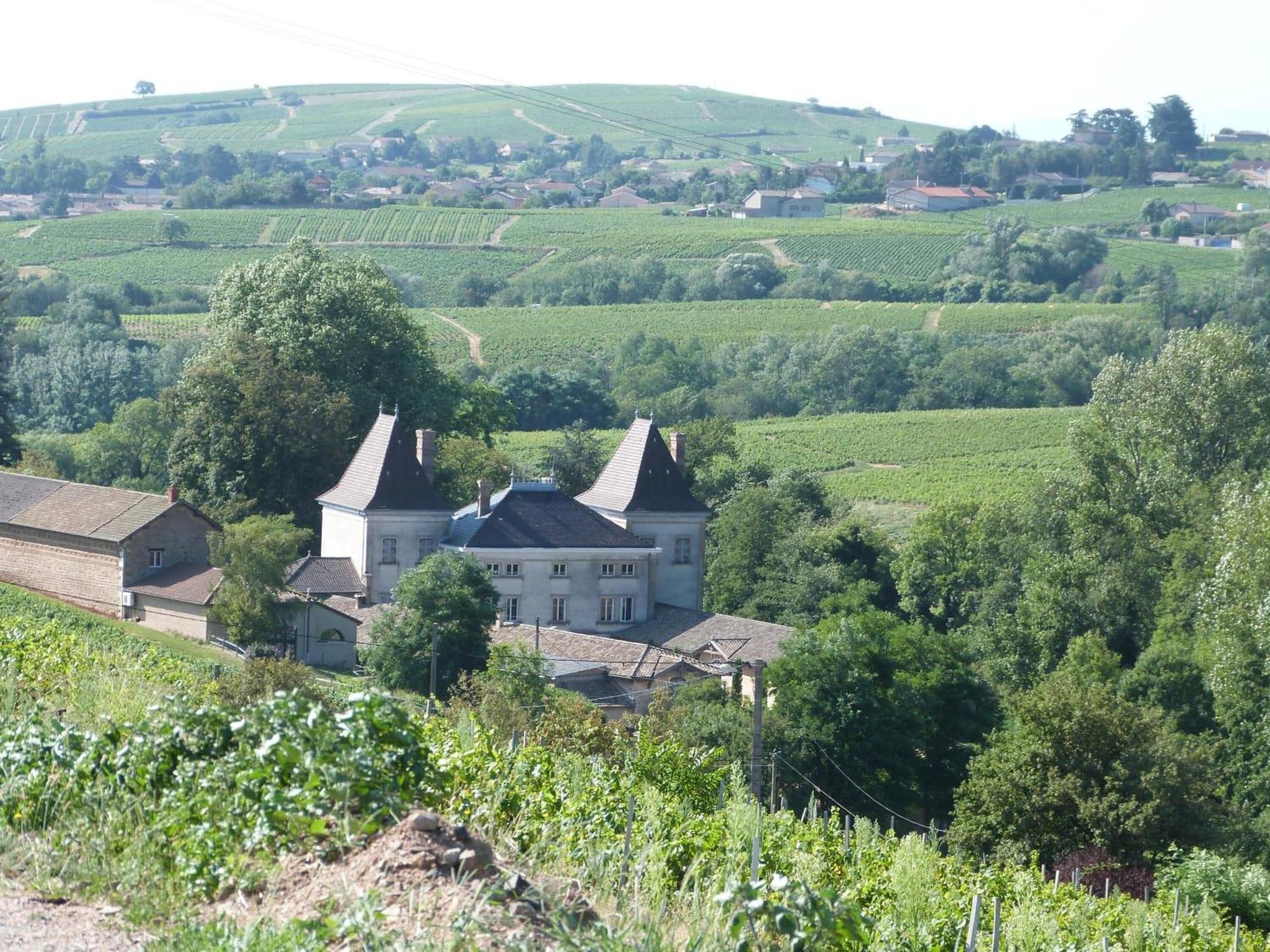 Logis Hotel Des Grands Vins フルーリー エクステリア 写真